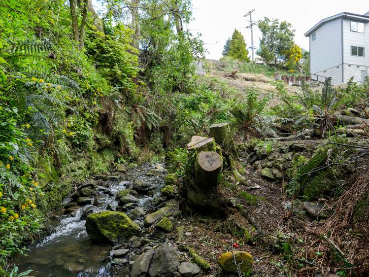 300 Helensburgh Road Helensburgh_15