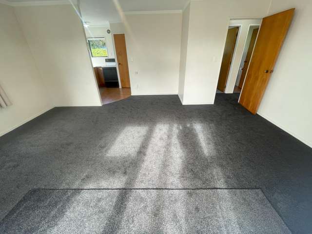 18a Michaels Avenue Ellerslie_2