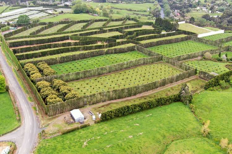 211 Pukekauri Road Waikino_22