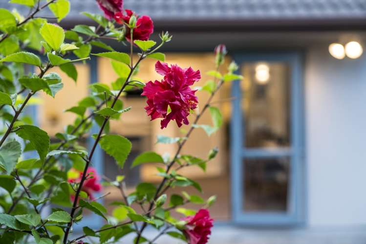 16 Braestar Court Henderson_8