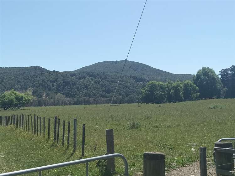 Puhunga Road Waipiro_13