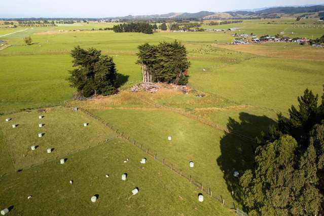 63A Half Mile Road Tuatapere_2