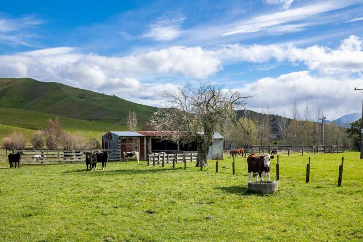 121 Win Valley Road Dovedale_8