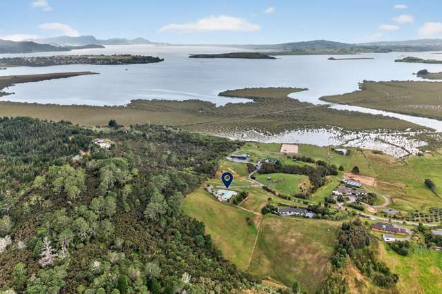 Elevated and undeniably special