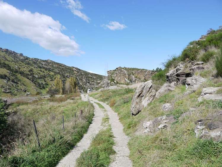 Teviot Street Roxburgh_7