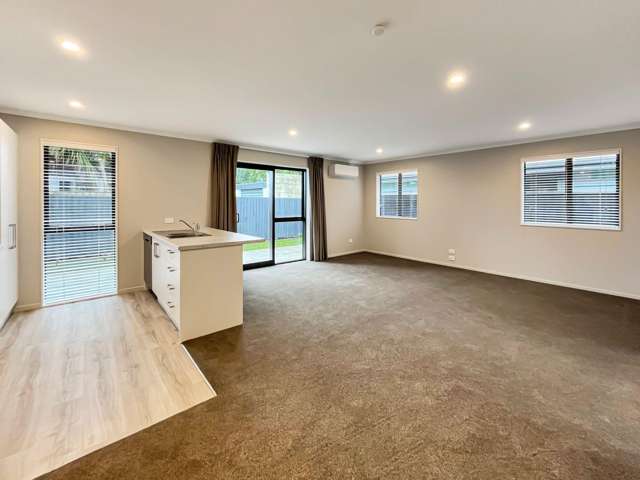 25 Akoranga Pl Hornby_4