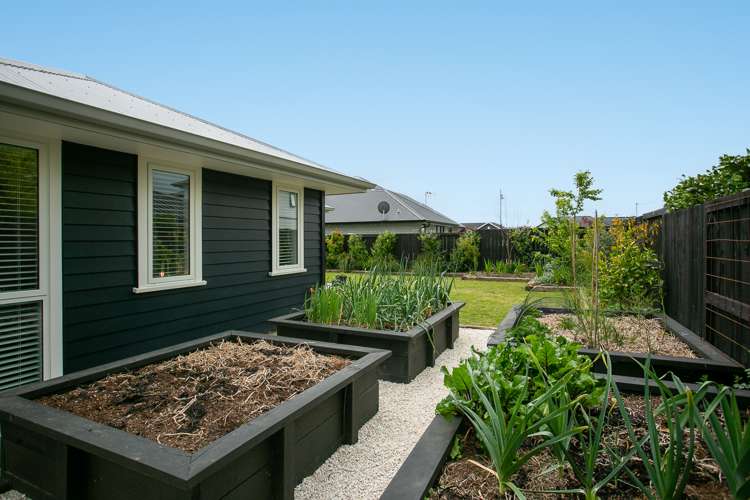 3 Richards Street Cambridge_24