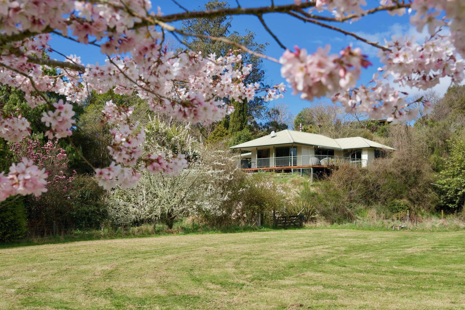 916 Waiwhero Road Ngatimoti_0