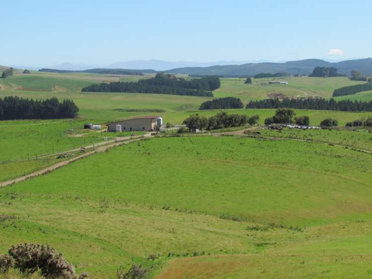 219 Beacon Hill Road Clinton and Surrounds_9