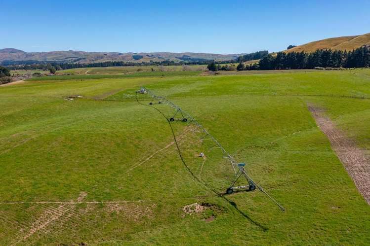 359 Hurunui Mouth Road Domett_33