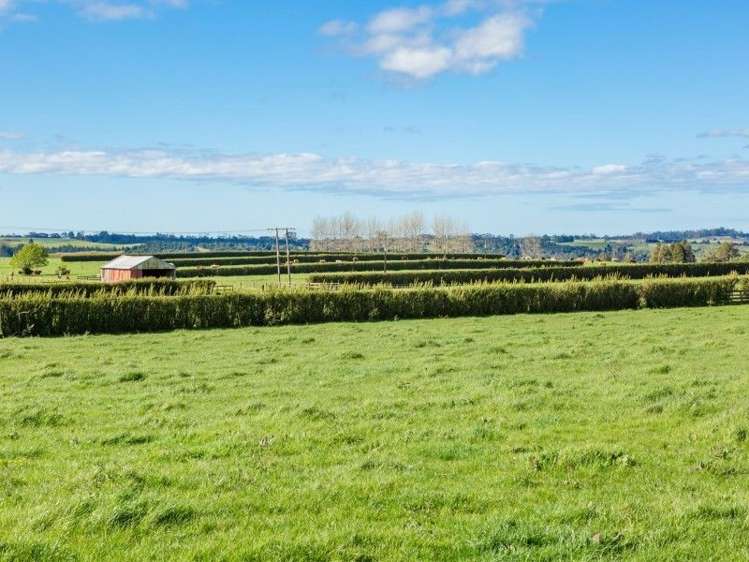 403 Te Ahu Ahu Road Waimate North_26