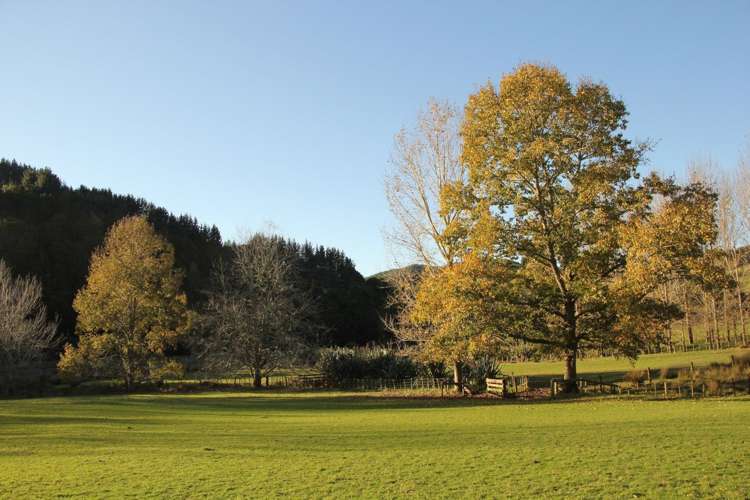 40 Linton Road Kaipara Flats_12