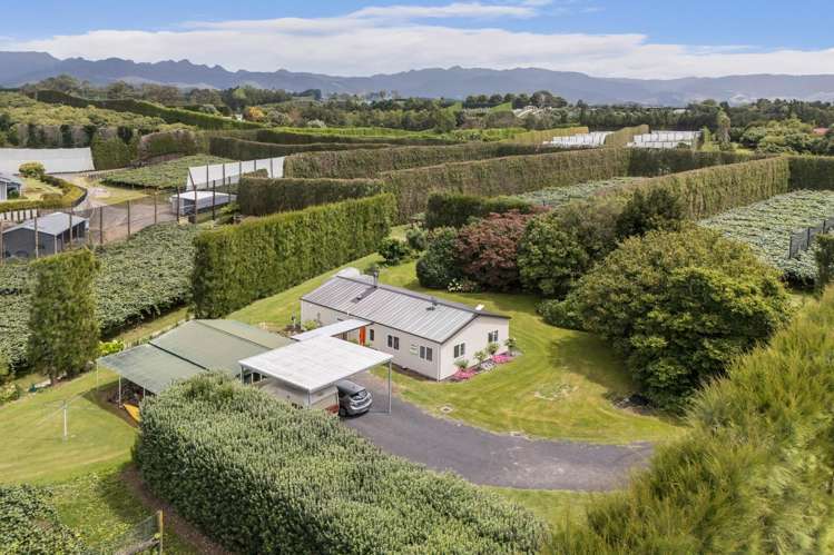 81 Lockington Road Aongatete_19