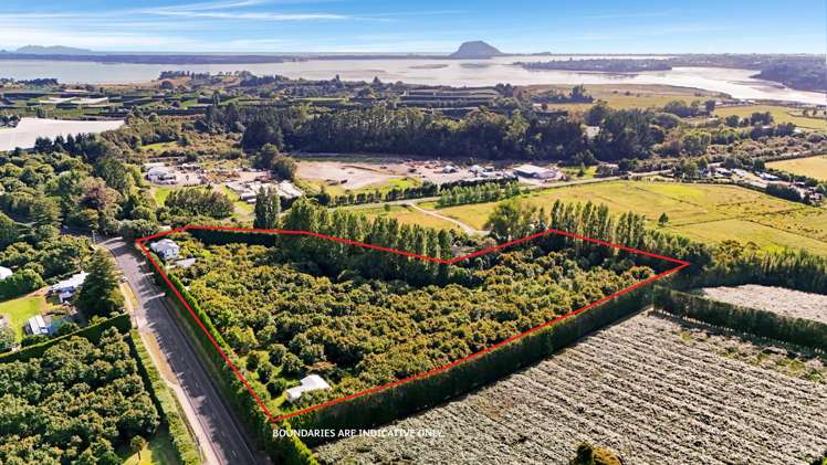 138 Te Puna Road Te Puna_24