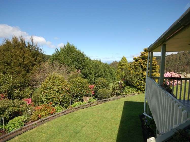 146 Whangamata Road Kinloch_6