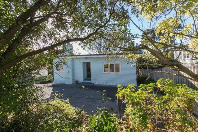1 Savoy Road Glen Eden_1