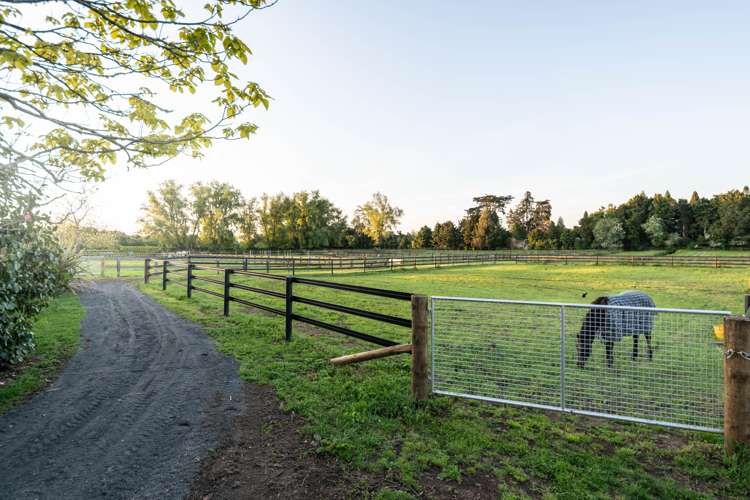 91 Forrest Road Cambridge_6