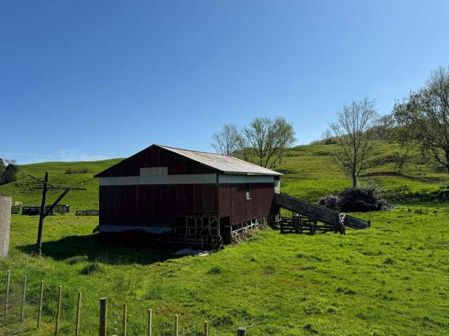 445 Avoca Road Dargaville_2