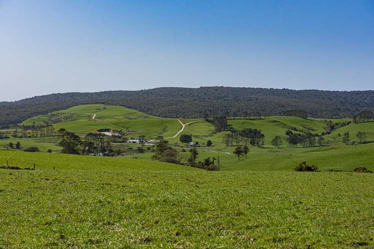 24 Foster Road Dargaville Surrounds_2
