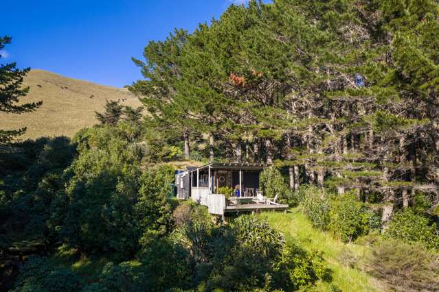 380 Whaanga Road Raglan_4