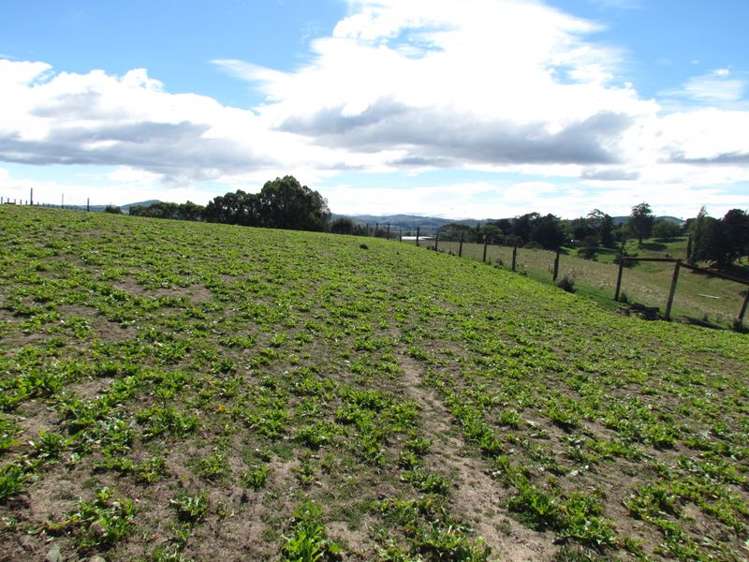 41 Lees Pakaraka Road Masterton_22