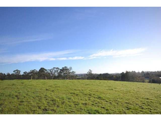 Riddell Road Kerikeri_1