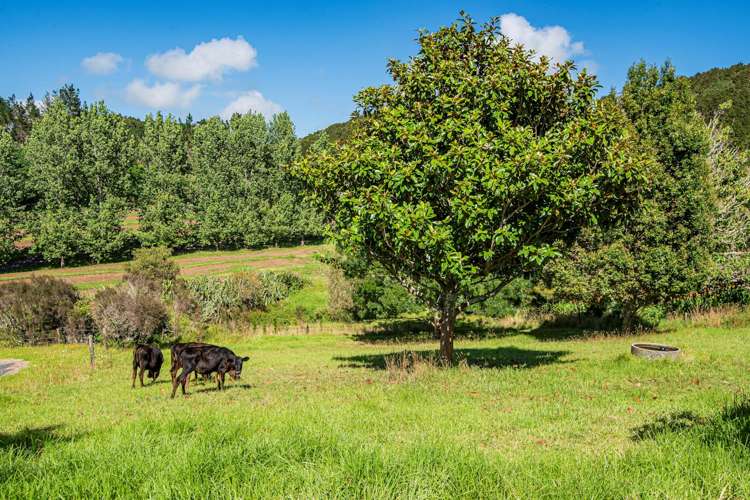 21 Going Road Matarau_28