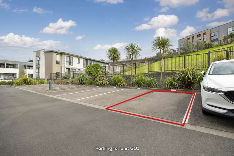 01/189g Barbarich Drive Stonefields_14