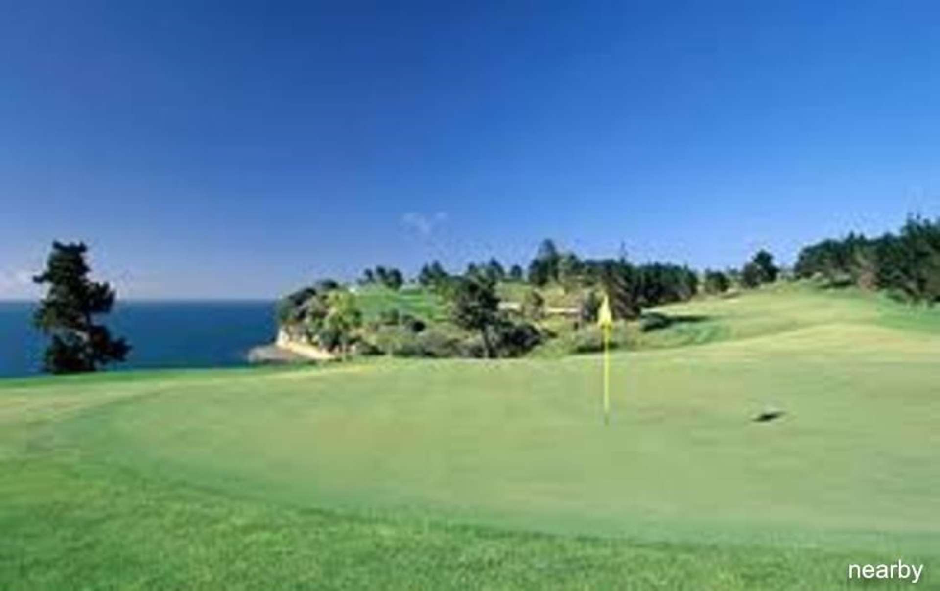 311 Pinecrest Drive Gulf Harbour_0