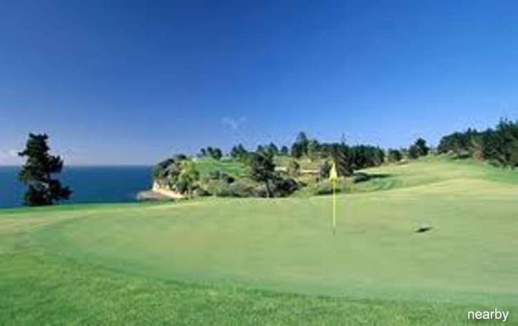 311 Pinecrest Drive Gulf Harbour_0