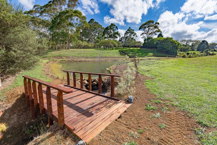 136 Wily Road Puni_18