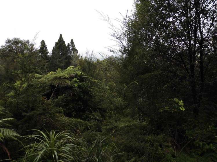 509a Old Maratoto Road Hikutaia_8