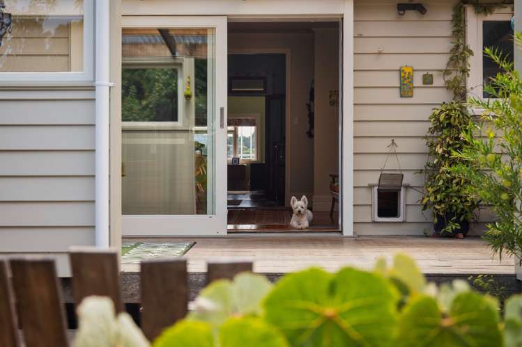 37 Cardigan Street Morningside_15