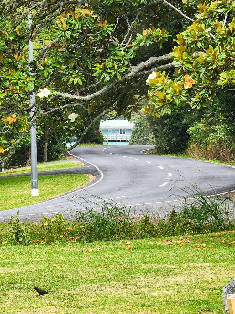 28 Florance Avenue Russell_3