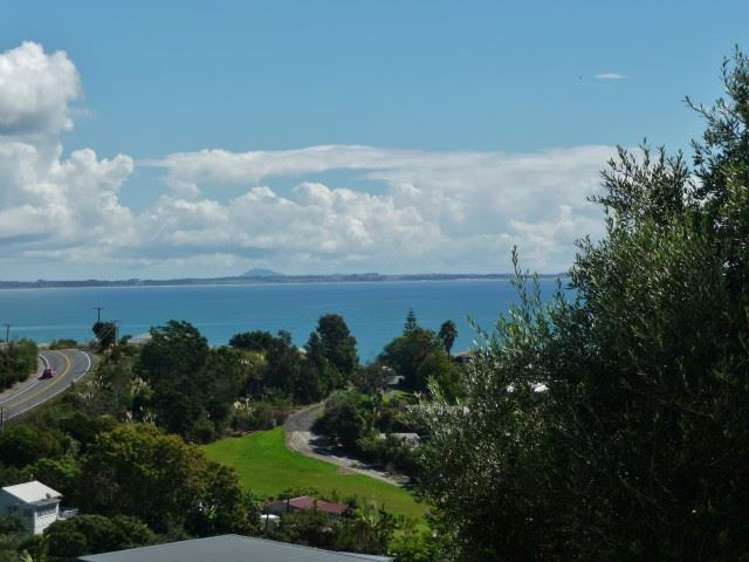 260 State Highway 10 Cable Bay_29