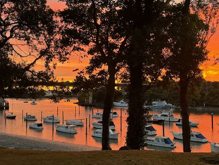 9 Pakuranga Road Pakuranga_31