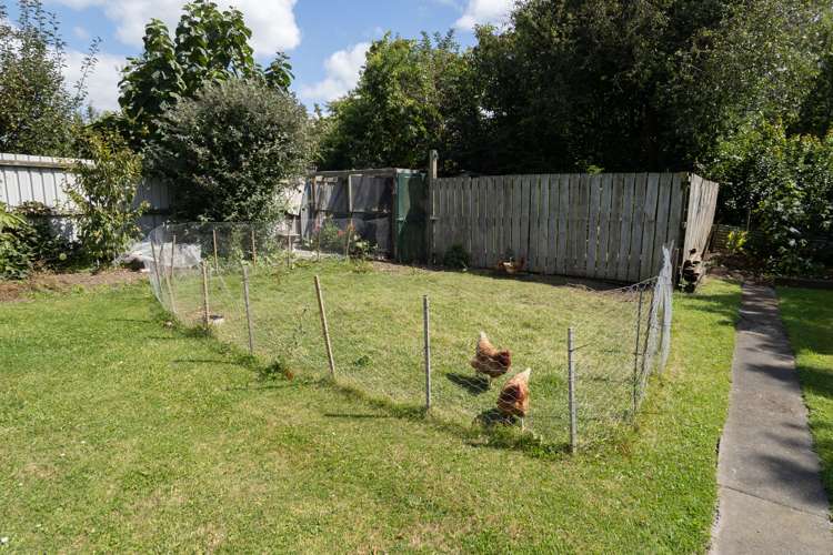 74 David Street Hinds_11