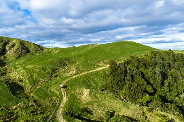 279 Taumatatotara Road Te Kuiti_3