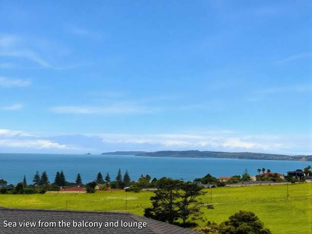 19 Pacific Heights Road Orewa_3