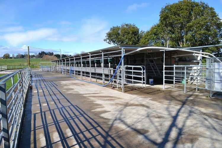 574 Rawhiti Road Reporoa and Surrounds_13