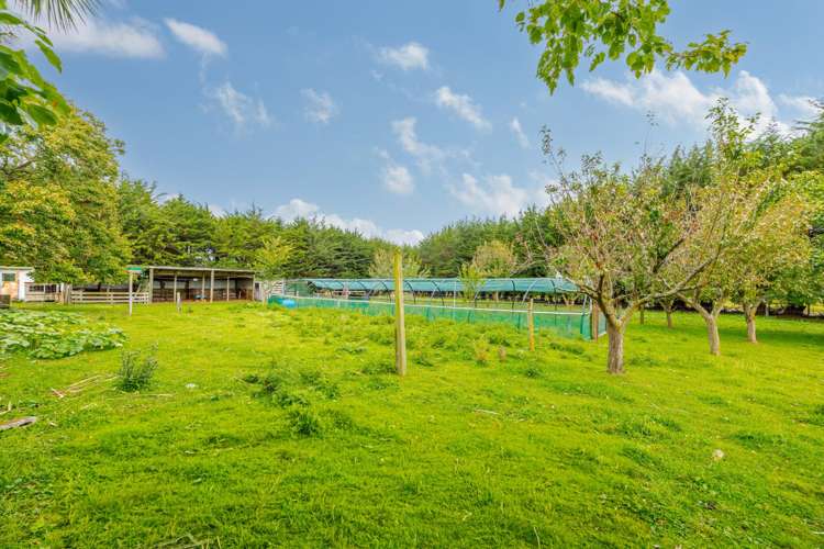 16 Swamp Road Ongaonga_23