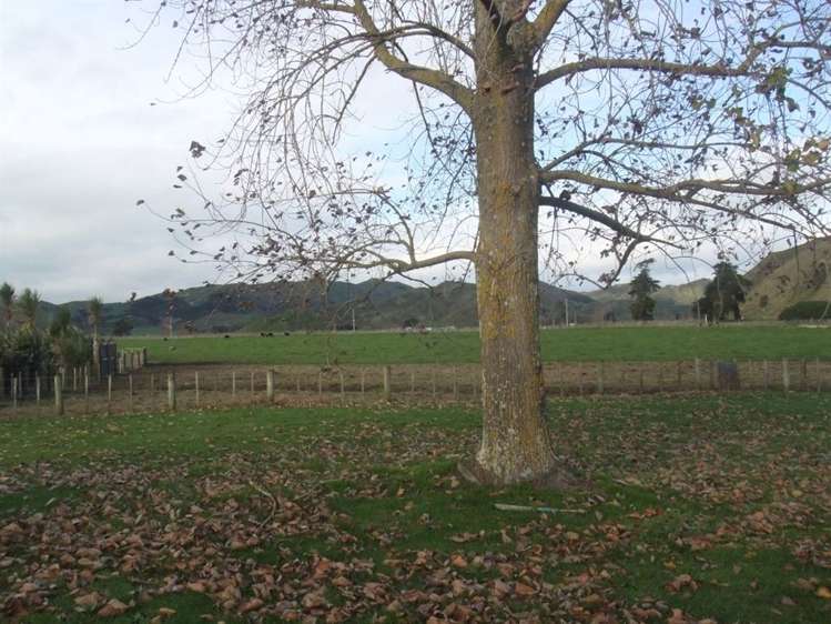 20a Rangiuia Road Tolaga Bay_6