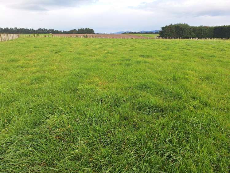 Lot Lot 1/49 Laws Road Dannevirke_1