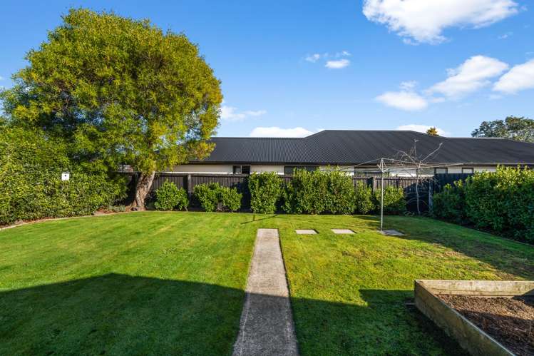 185 Burwood Road Burwood_24