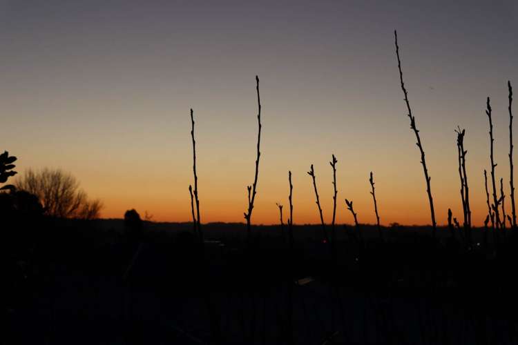 13 Ozich Avenue Te Atatu South_3