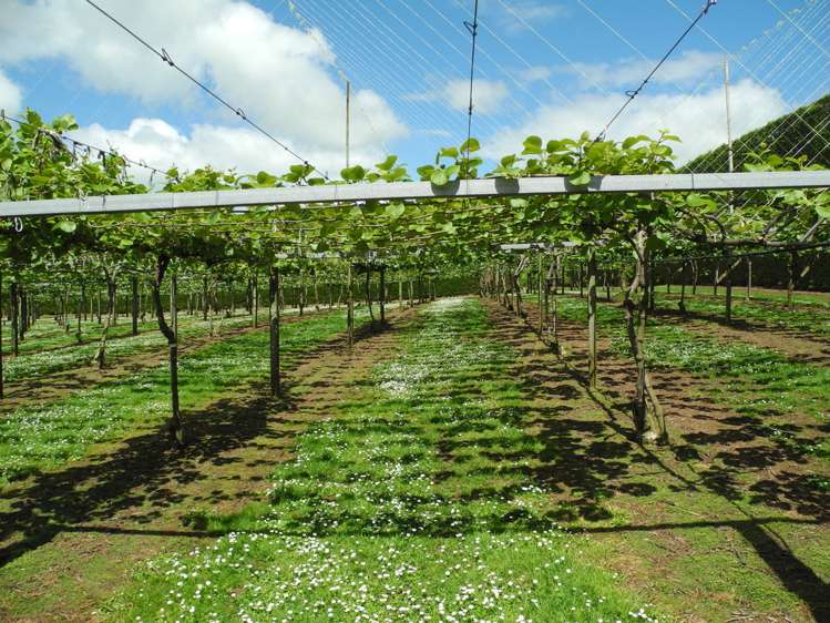 124 Bowman Road Te Awamutu_9