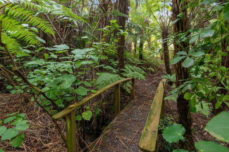 12 Kotanui Avenue Army Bay_20