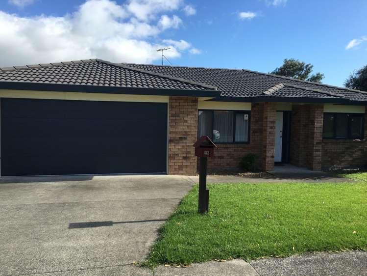 103 Palmers Road Clendon Park_11