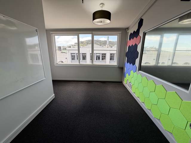2-12 Allen Street Te Aro_3