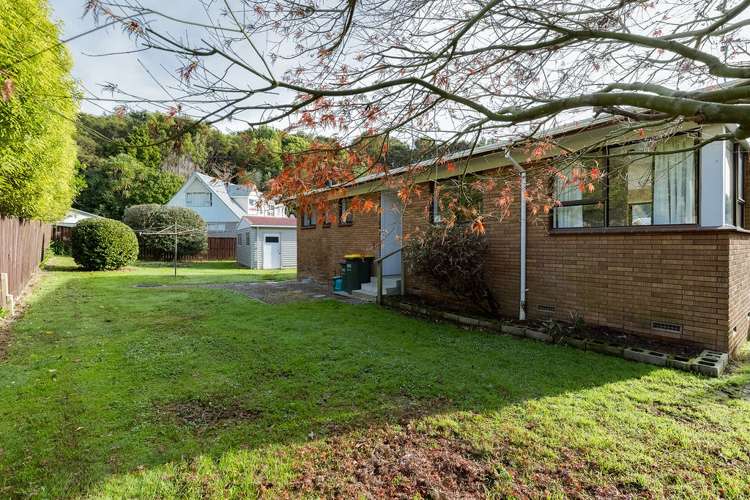 31 Culverdon Street Dinsdale_11